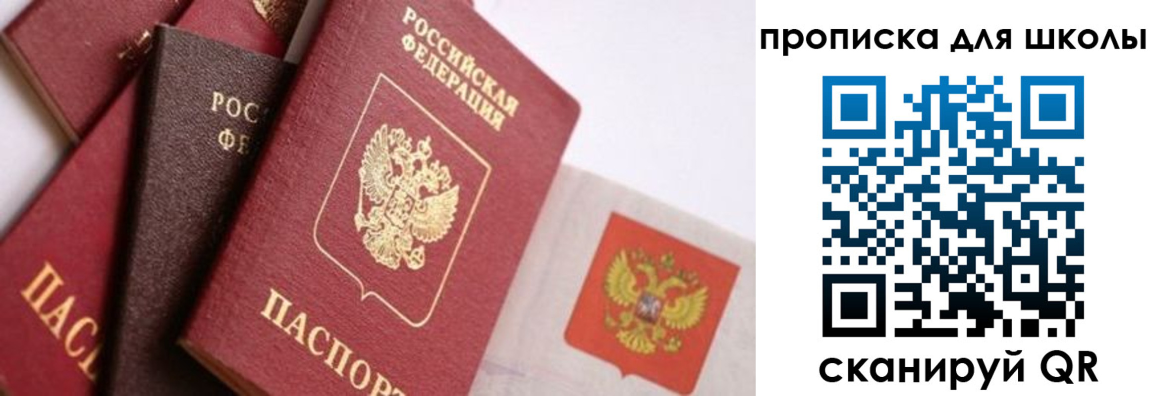 прописка поиск в Верещагино